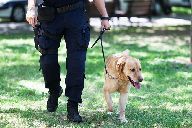 K9 Search Unit K9 Search Unit