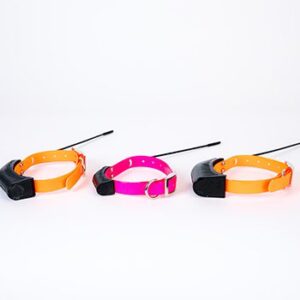 Sealed-Dog-Recovery-Transmitter